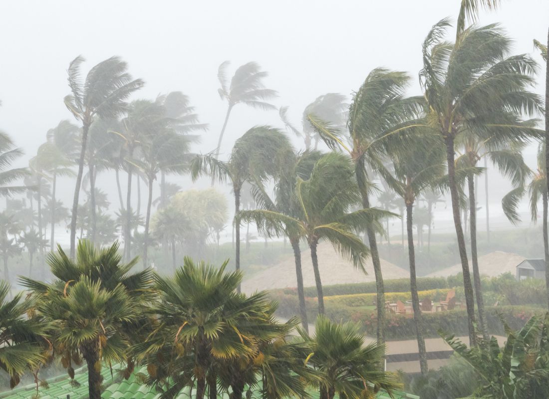 Best Portable Generators for Hurricane Season