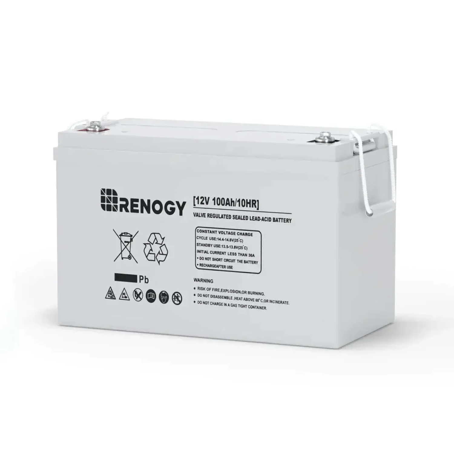 Renogy 100Ah 12V Cycle AGM Battery