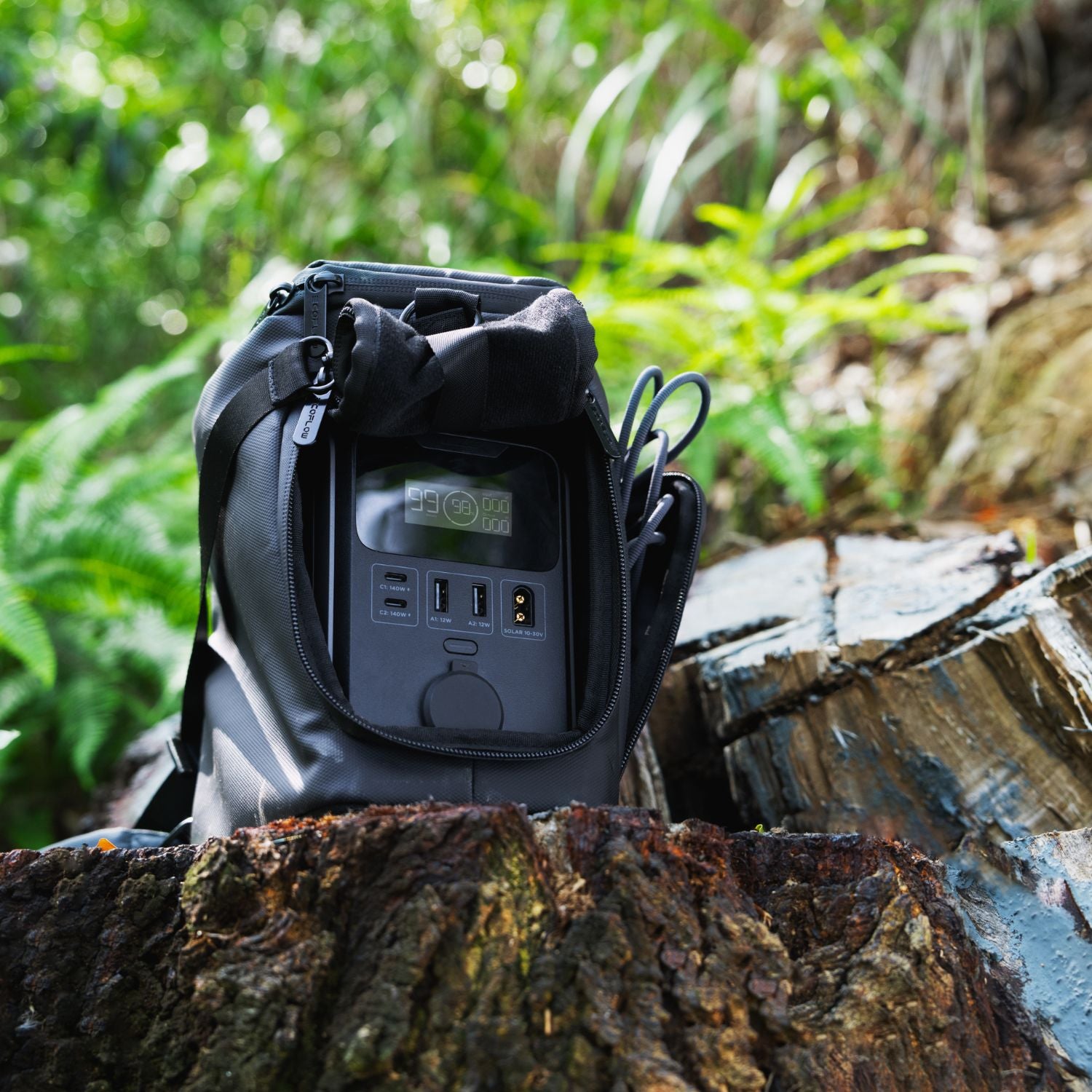 EcoFlow TRAIL 300DC Portable Power Station