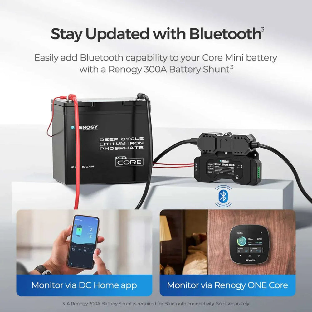 Renogy CORE Series Mini Size 12.8V 100Ah Lithium Iron Phosphate Battery