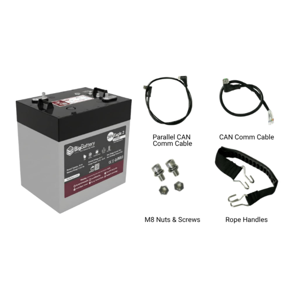 BigBattery 36V EAGLE 2 LiFePO4 Battery 40Ah 1.53kWh inclusions 