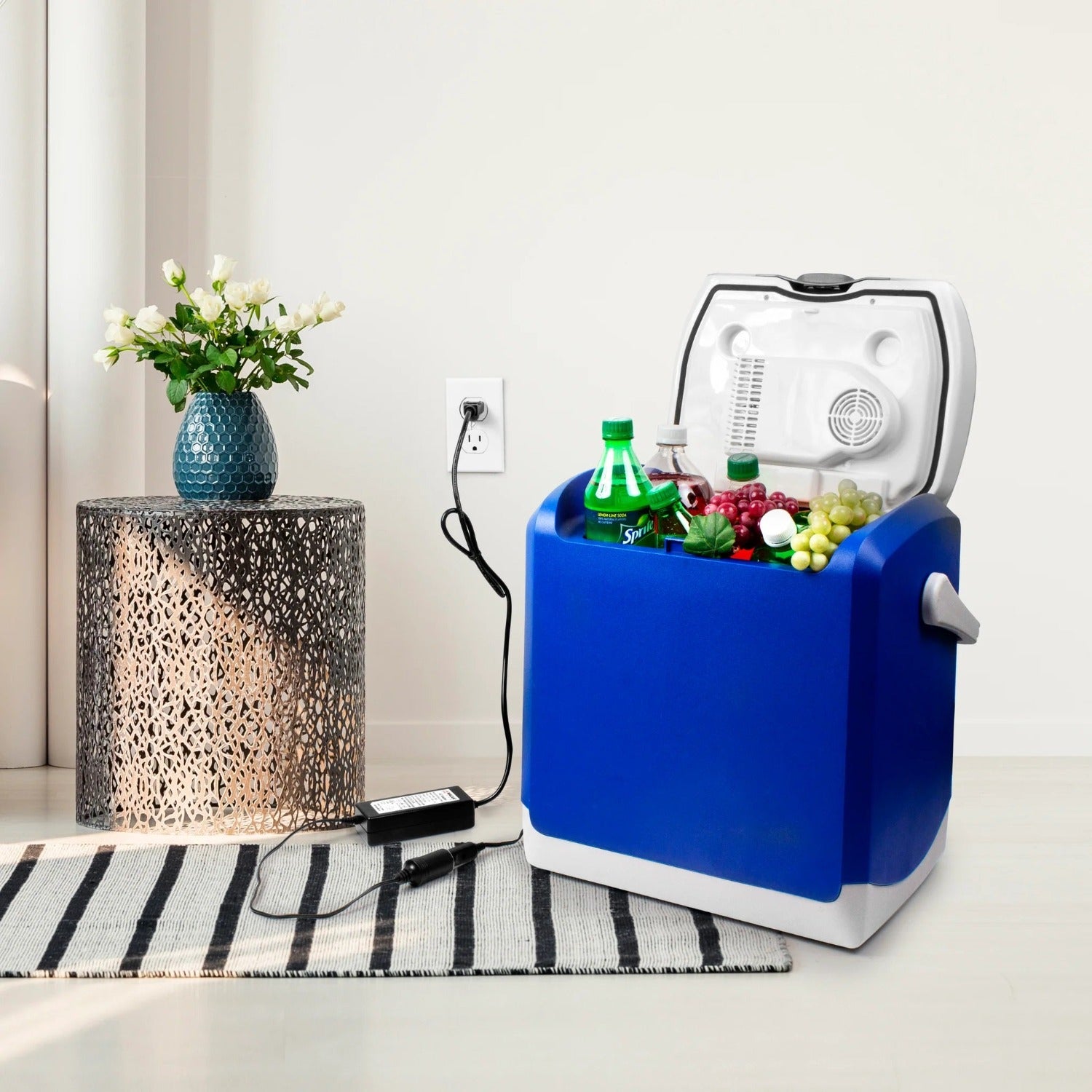 Car Cooler/Warmer Filled With Drinks Charging WIth Wagan Tech AC to DC 5 Amp Power Adapter