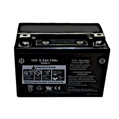 Cummins Replacement Battery, P4500i / P4500iDF