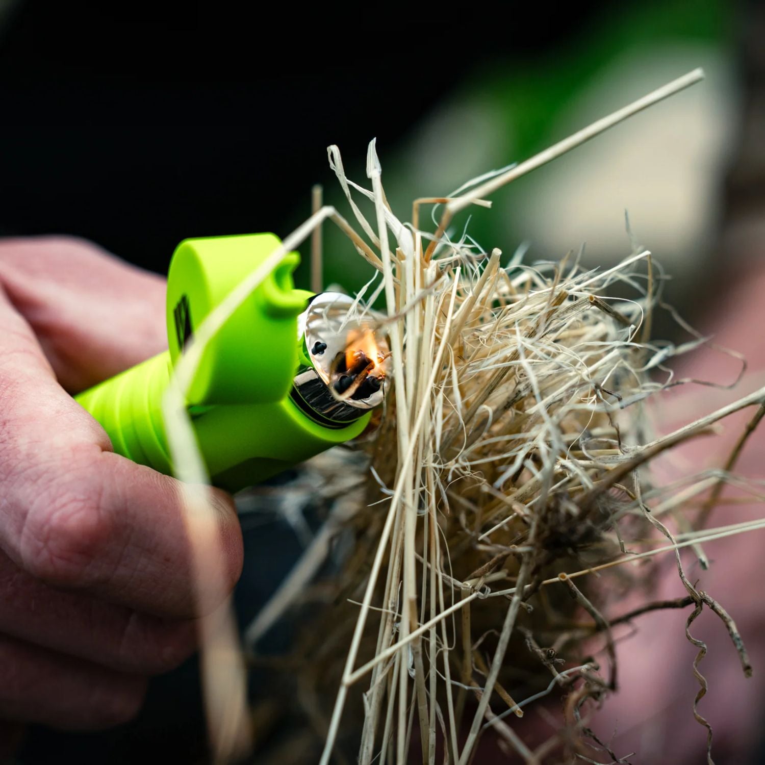 Dark Energy Plasma Lighter - Green igniting dry grass for fire starting.