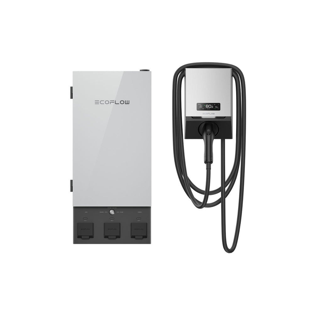 EcoFlow PowerPulse With Smart Home Panel 2