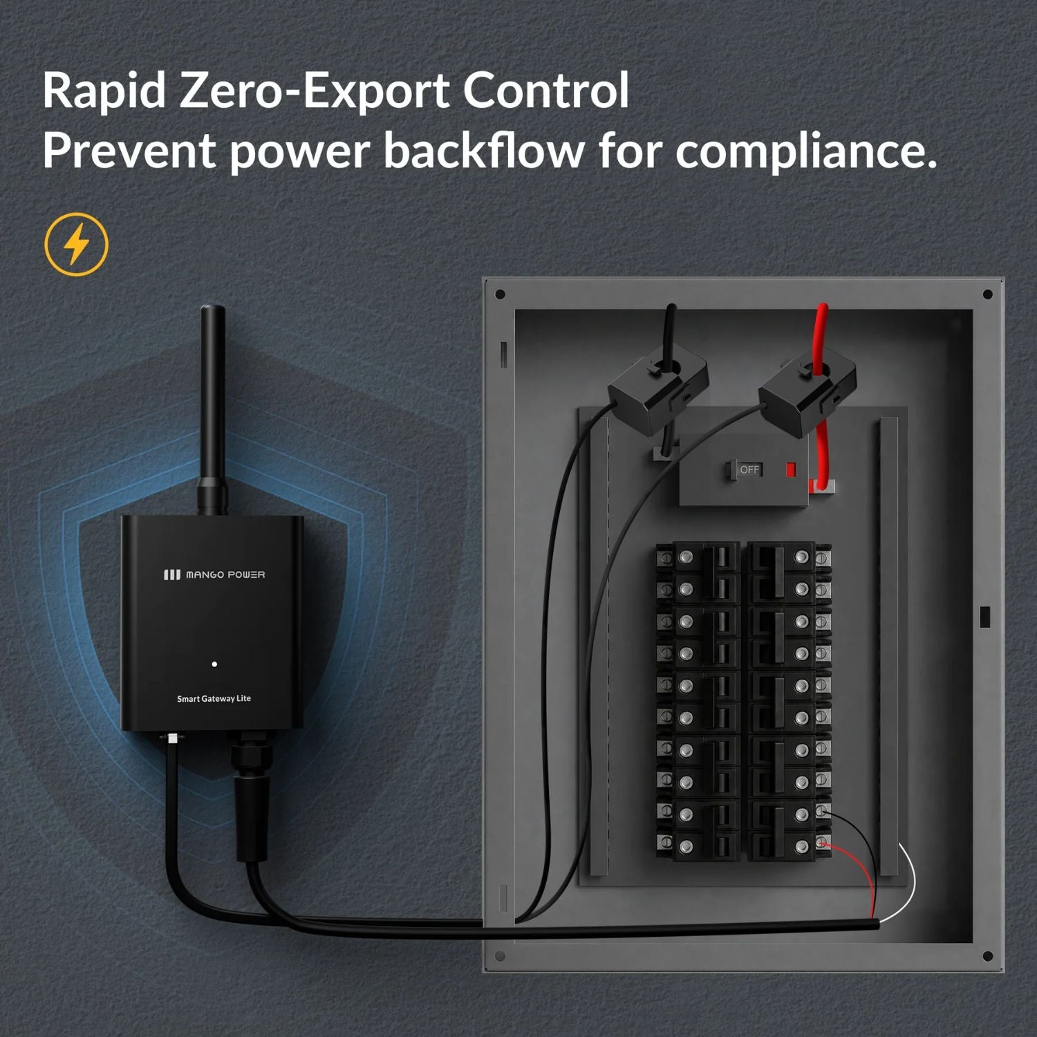 Mango Power Smart Gateway Lite - Prevent power  backflow for compliance