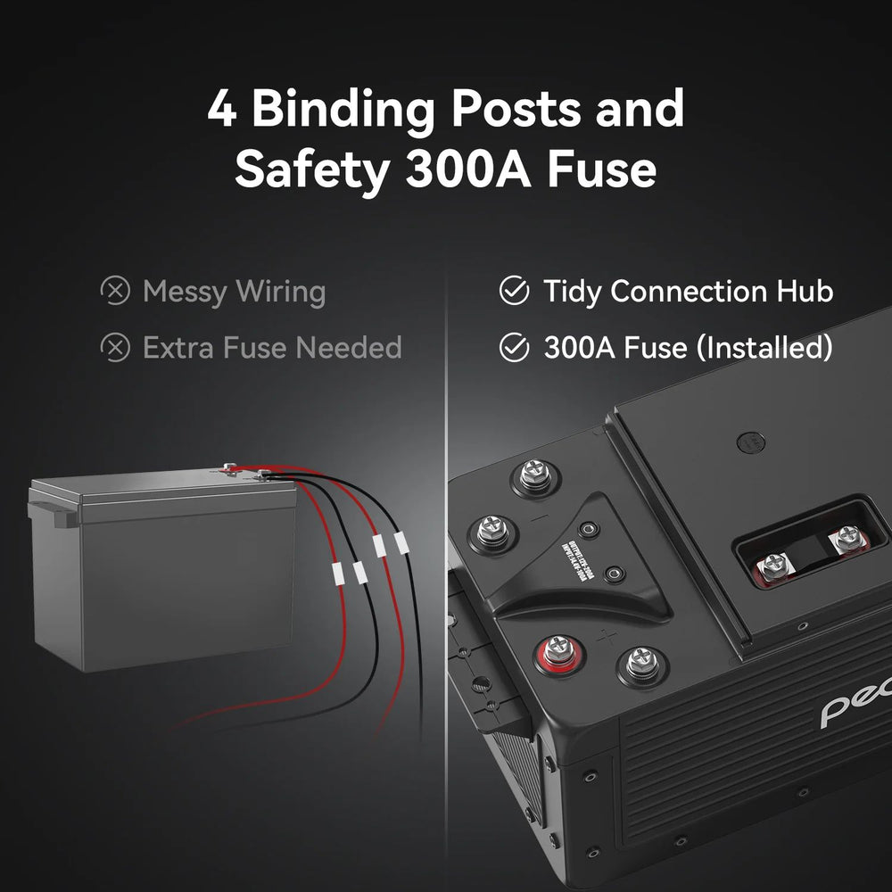 Pecron WB12200 Lithium 12V 200Ah Deep Cycle LiFePO4 Battery - Safety 300A Fuse