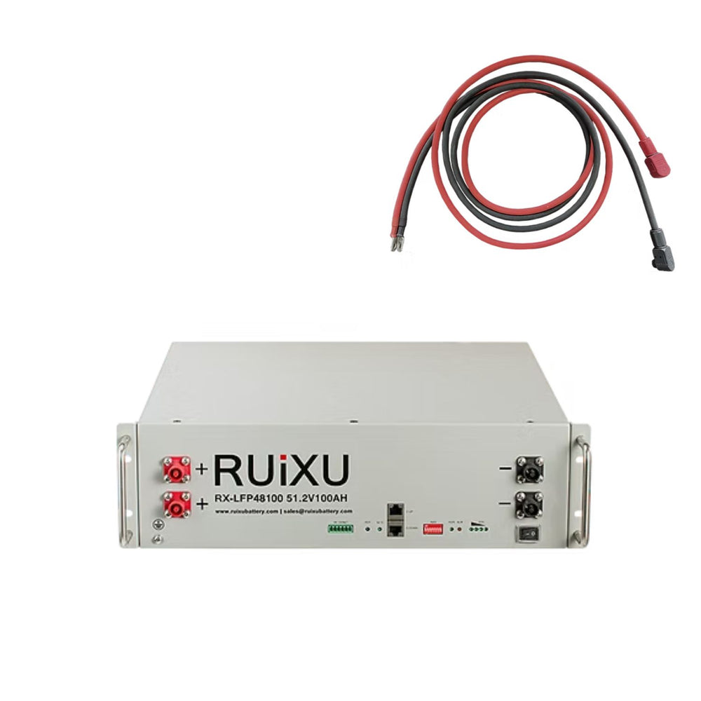 RUiXU RX-LFP48100 51.2V Server Rack Batteries - S200-200cm cables