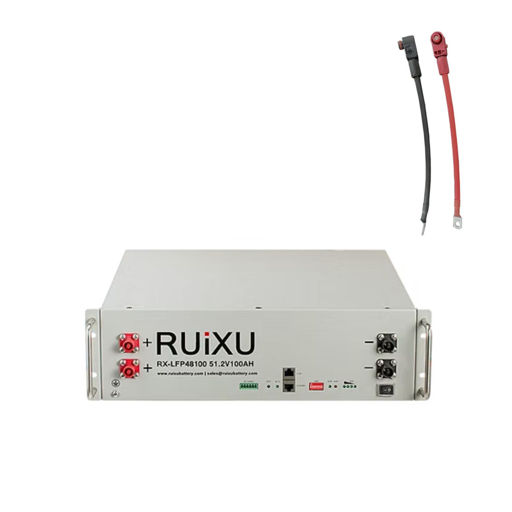RUiXU RX-LFP48100 51.2V Server Rack Batteries with S30-30cm cables