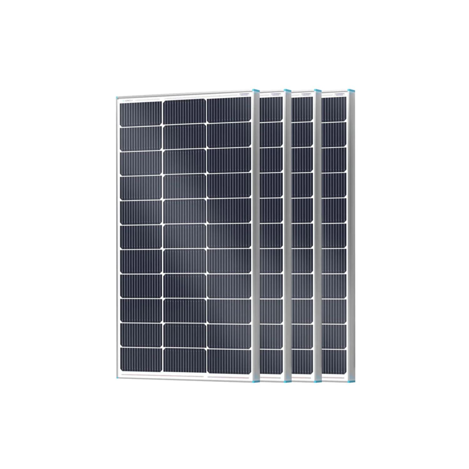 Renogy 16BB N-Type 24V Solar Panel 100W