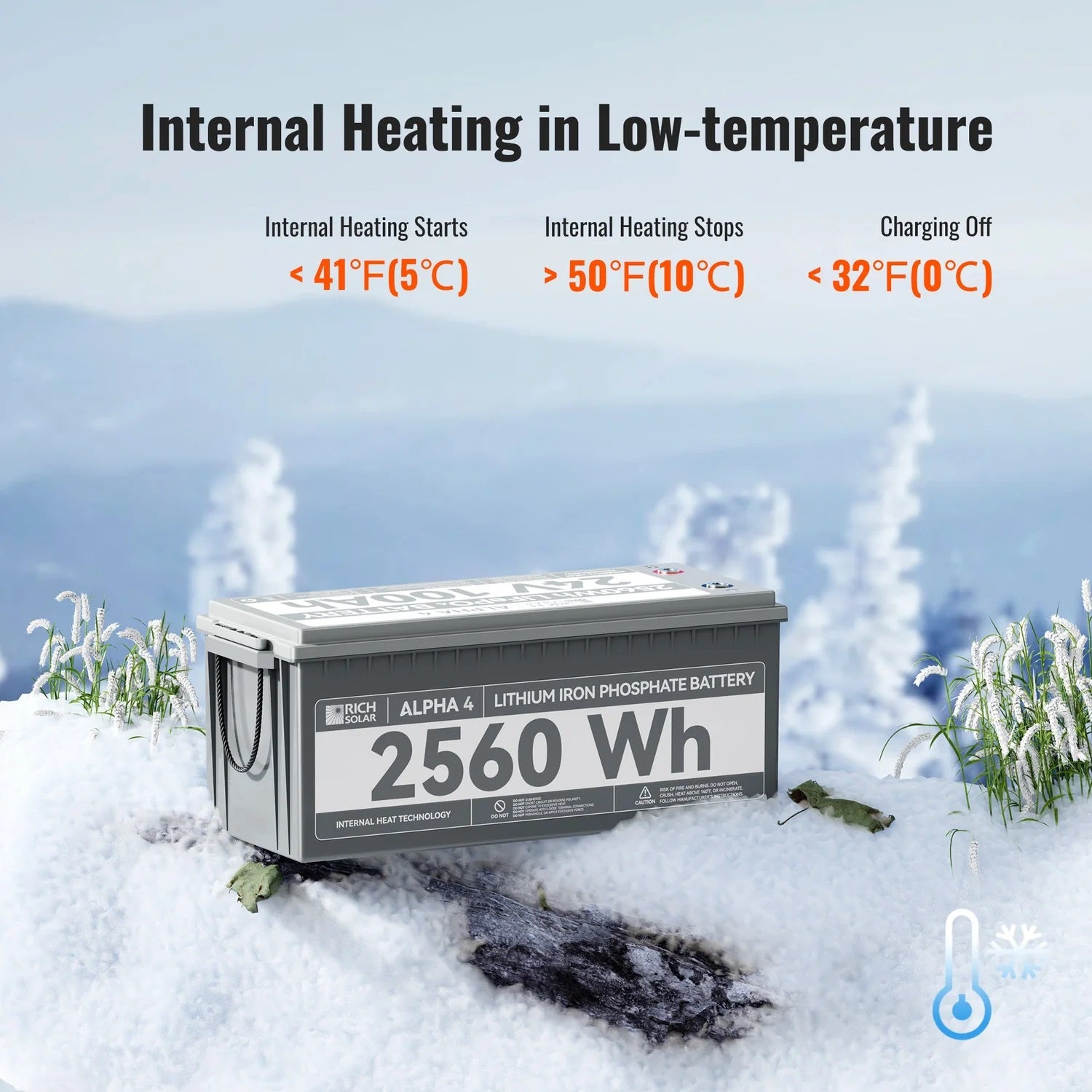Rich Solar 24V 100Ah LiFePO4 Lithium Iron Phosphate Battery With Internal Heating and Bluetooth Function Temperature