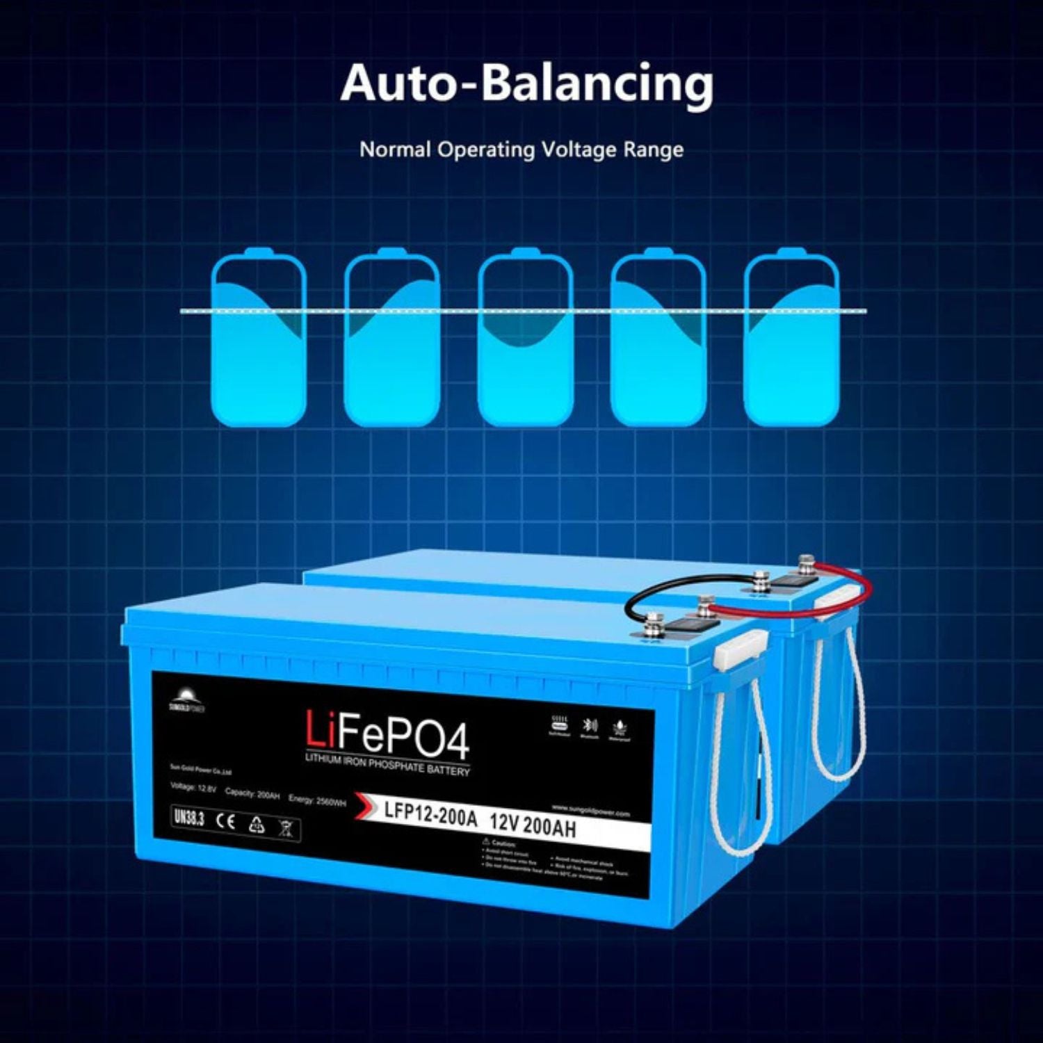 SunGold Power 12V 200Ah LiFePo4 Deep Cycle Lithium Battery Auto Balancing