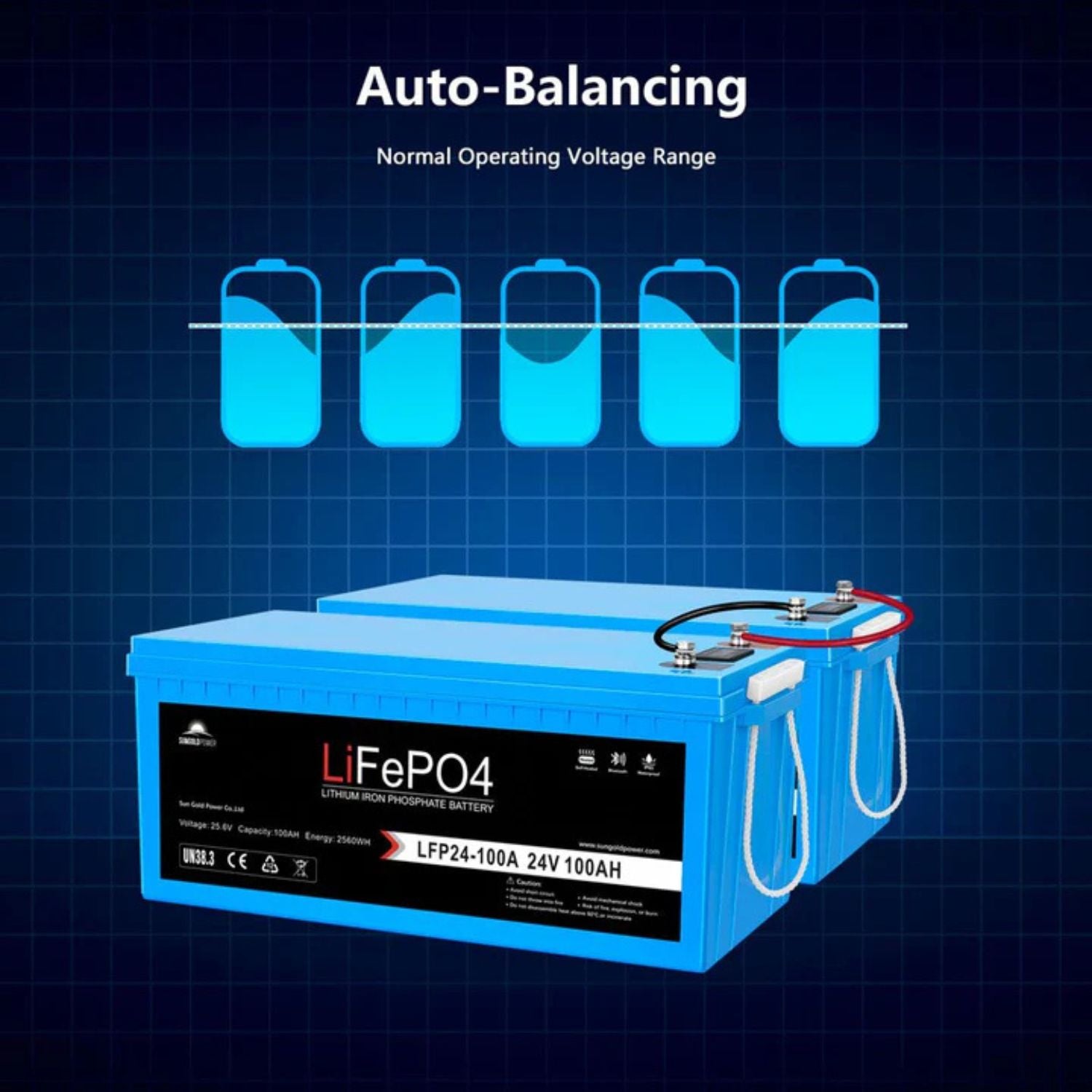 SunGold Power 24V 100Ah LiFePo4 Deep Cycle Lithium Battery Auto Balancing