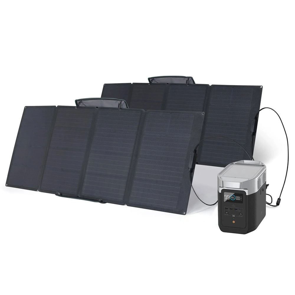 EcoFlow DELTA 2 With 2 110W Portable Solar Panes