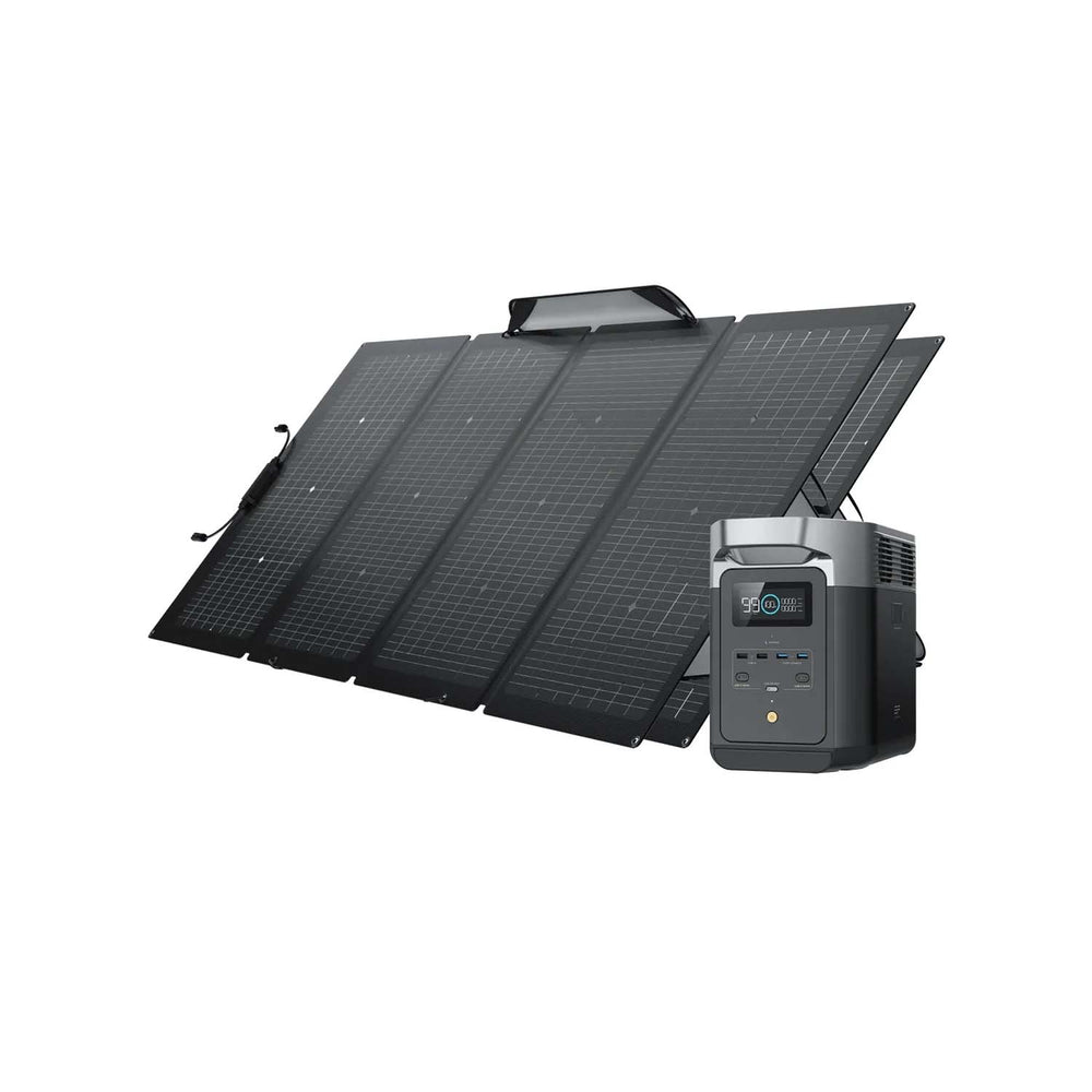 EcoFlow DELTA 2 With 2 220W Bifacial Portable Solar Panels