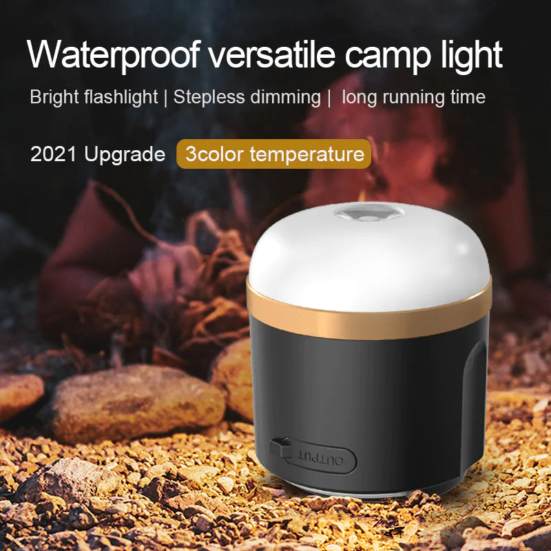 The EcoFlow Camping Light Is Waterproof & Versatile