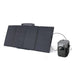 EcoFlow DELTA 1300 + 160 Watt Portable Solar Panel