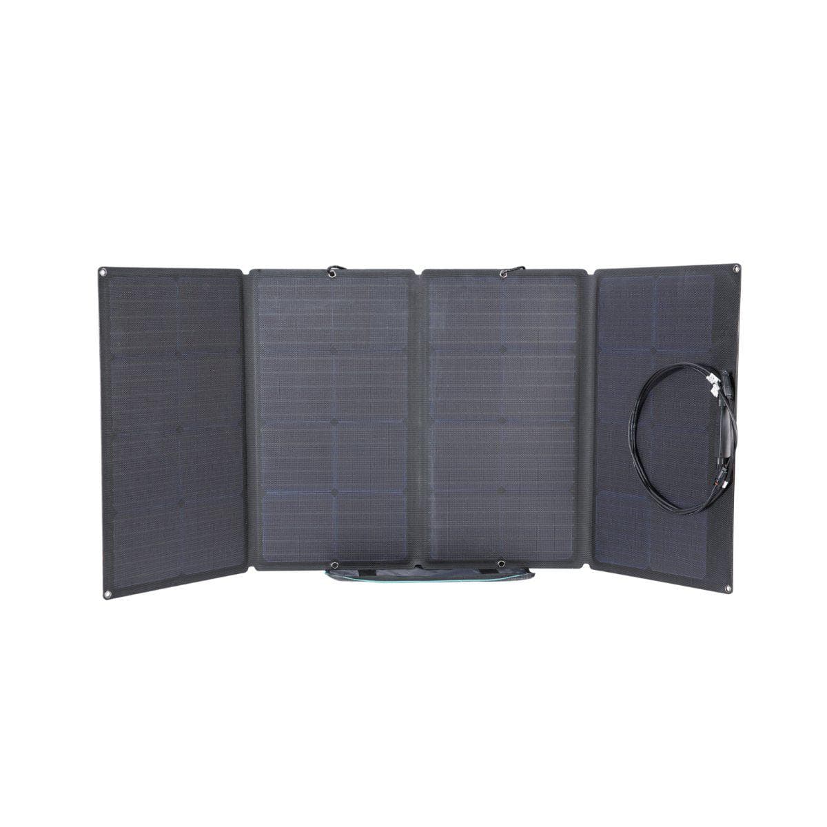 EcoFlow 160W Portable Solar Panel 