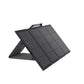 EcoFlow 220W Bifacial Portable Solar Panel Side & Front View