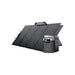 EcoFlow DELTA Max 2000 + Bifacial Portable Solar Panel x 2