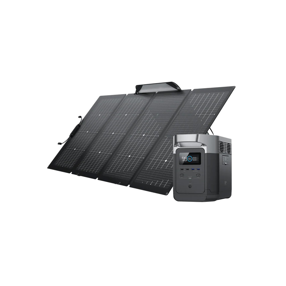 EcoFlow DELTA 1000 + 220 Watt Bifacial Portable Solar Panel